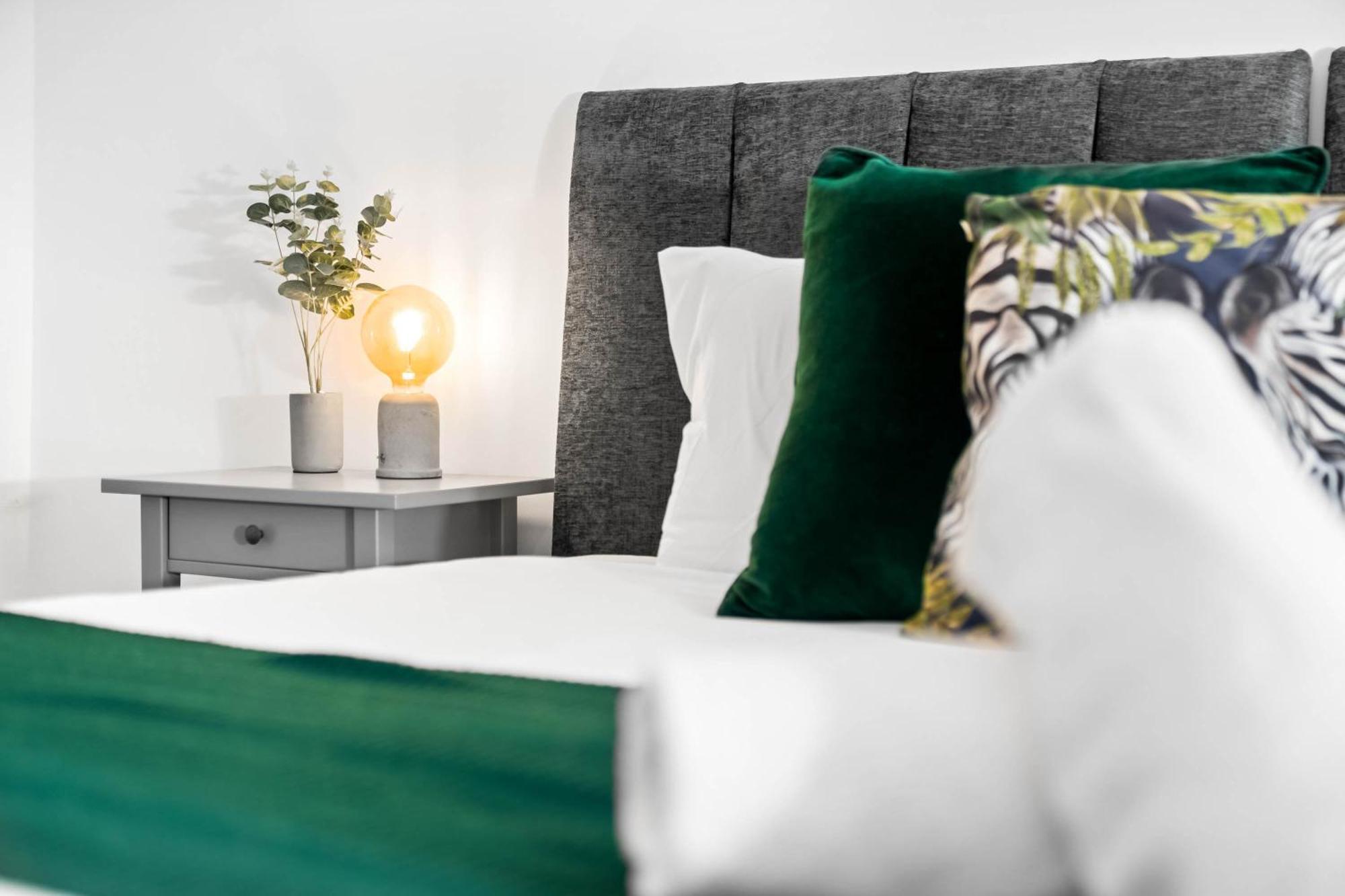 Apartment Luxury One Bedroom - Fast Wifi - Netflix - On Street Parking 2br