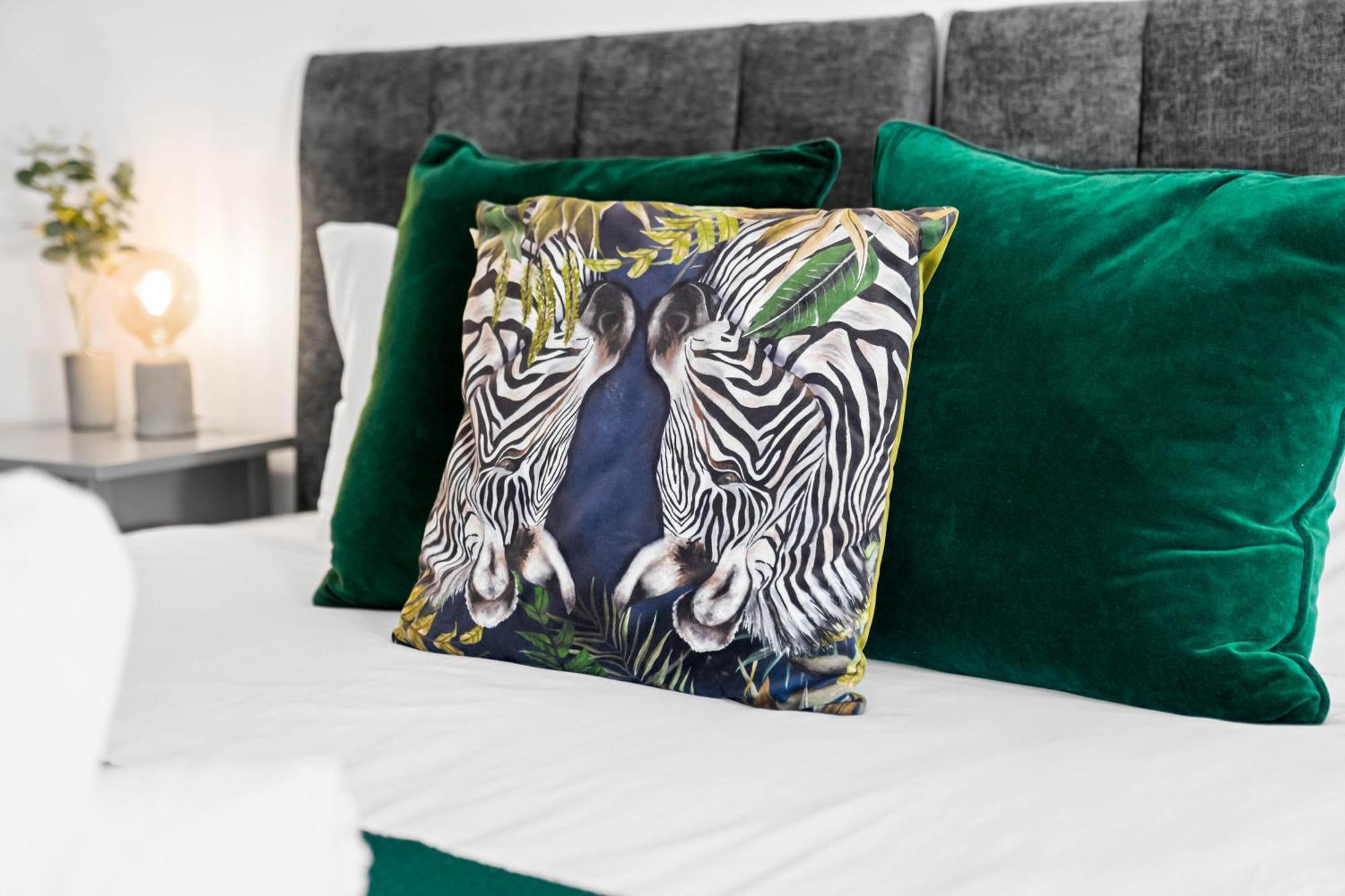 Apartment Luxury One Bedroom - Fast Wifi - Netflix - On Street Parking 2br *